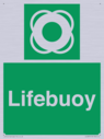 lifebuoy-with-symbol~